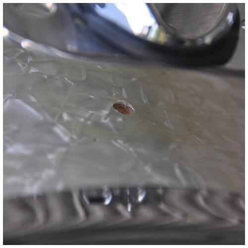 Image 8 - DW 12", 14", 18" Drum Workshop Collectors Series Drum Kit in White Pearl finish *2nd Hand*