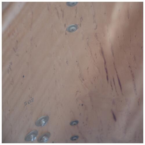 Image 15 - SONOR LITE 10x9", 12x10", 13x11", 14x12", 15X16" floor, 22x17" bass drum - Scandinavian Birch mid 80's - 2nd Hand